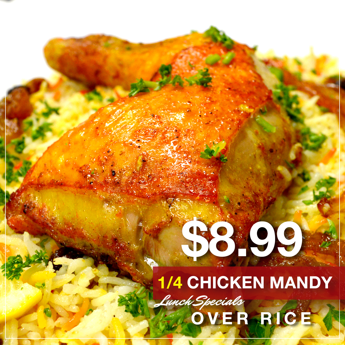 QAUR Chicken Mandy Lunch specials-22